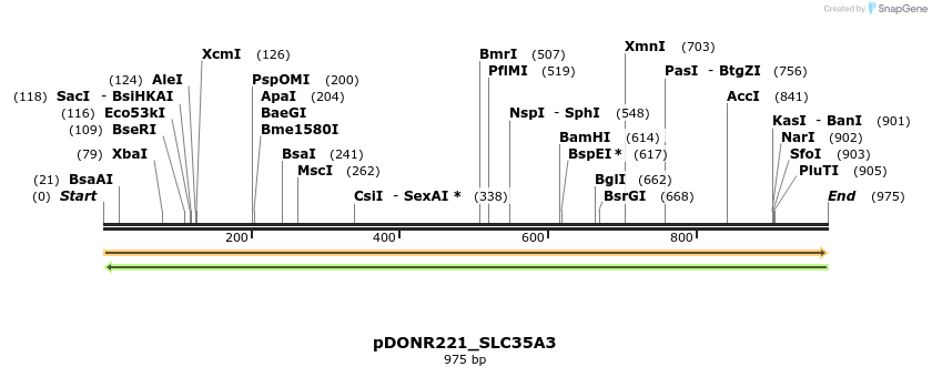 253670_map
