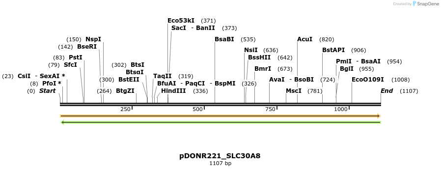 253672_map