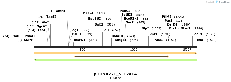 253676_map
