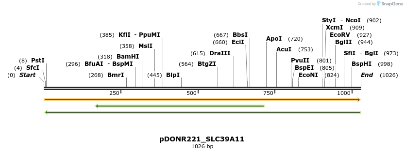 253682_map