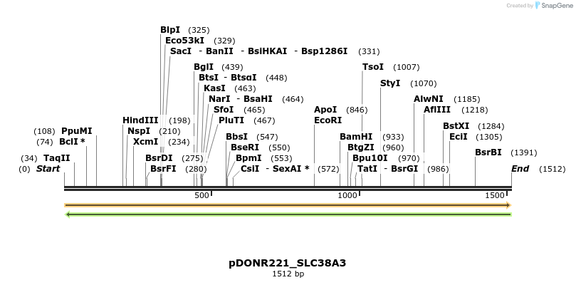 253684_map