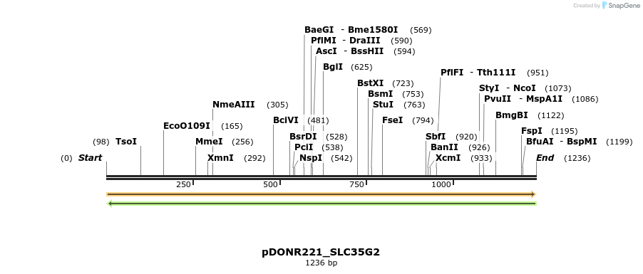 253688_map