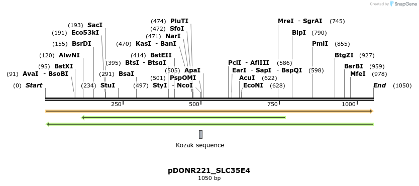 253690_map