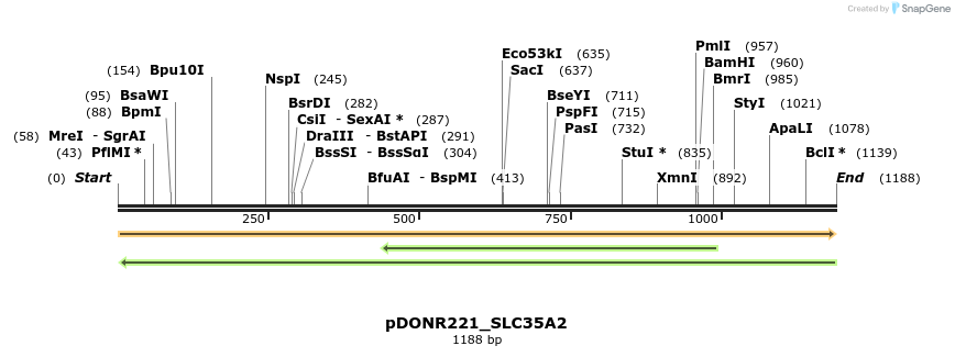 253694_map