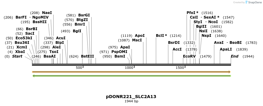 253700_map