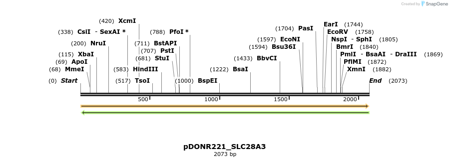 253702_map