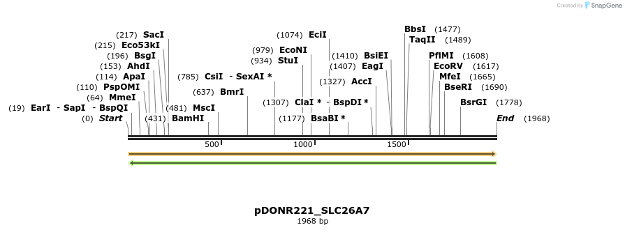 253704_map