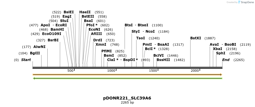253706_map