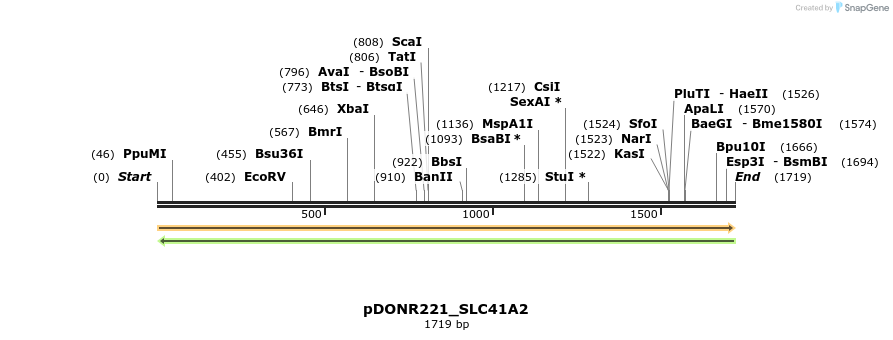 253708_map