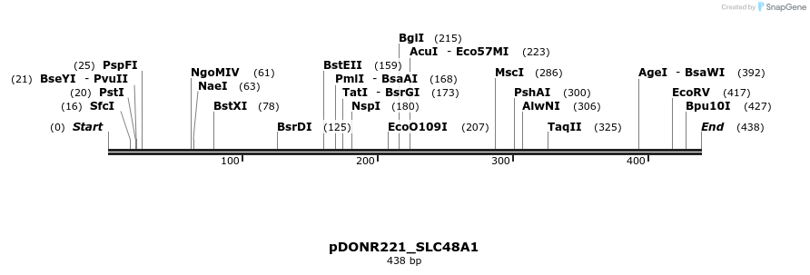 253712_map