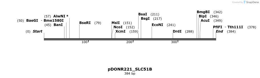 253714_map