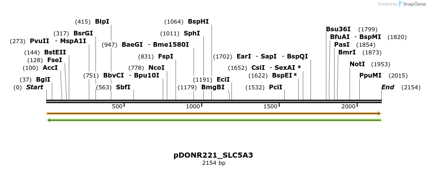 253716_map