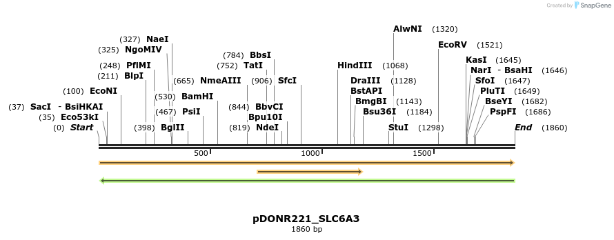 253720_map
