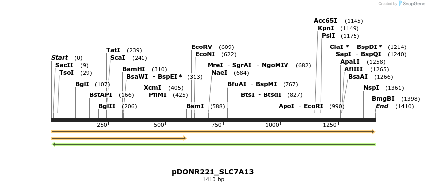 253722_map