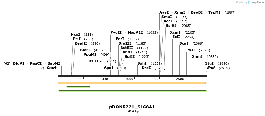 253724_map