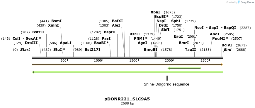 253726_map