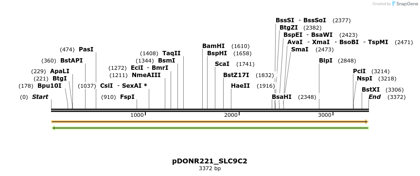 253728_map