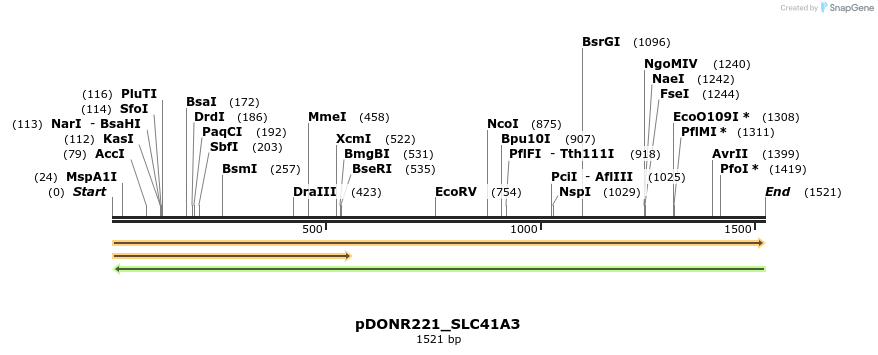 253732_map