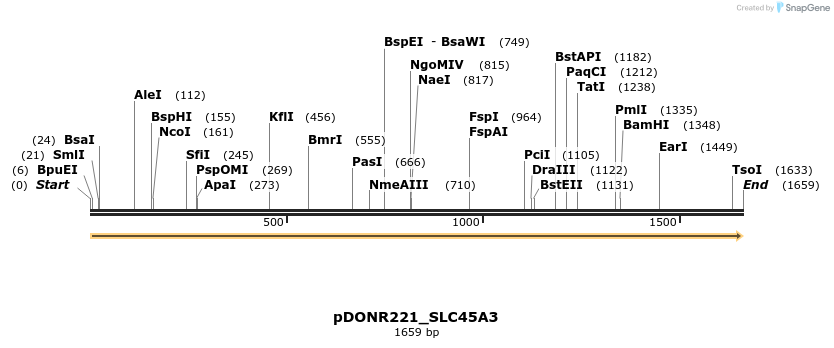 253734_map