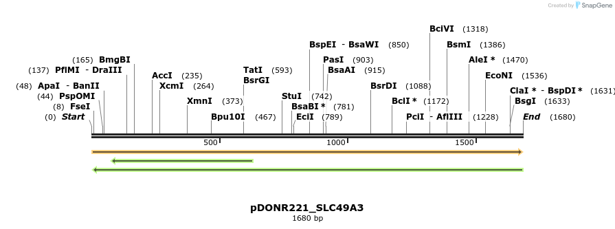 253736_map