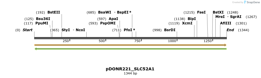253738_map