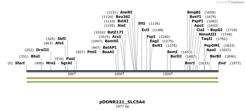 253740_map