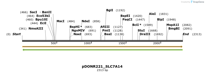 253746_map