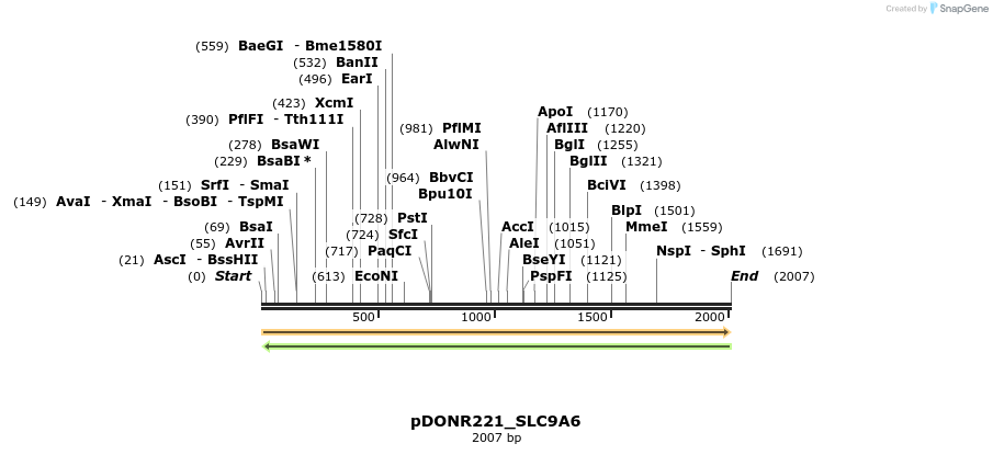 253750_map