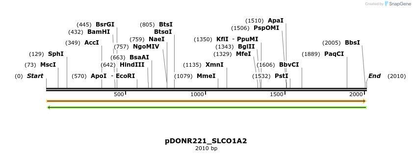 253752_map