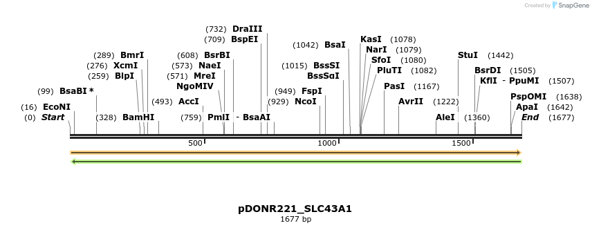 253756_map