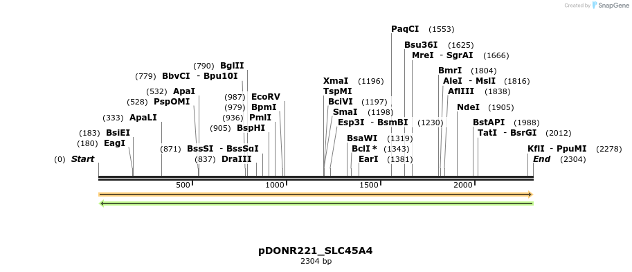 253758_map