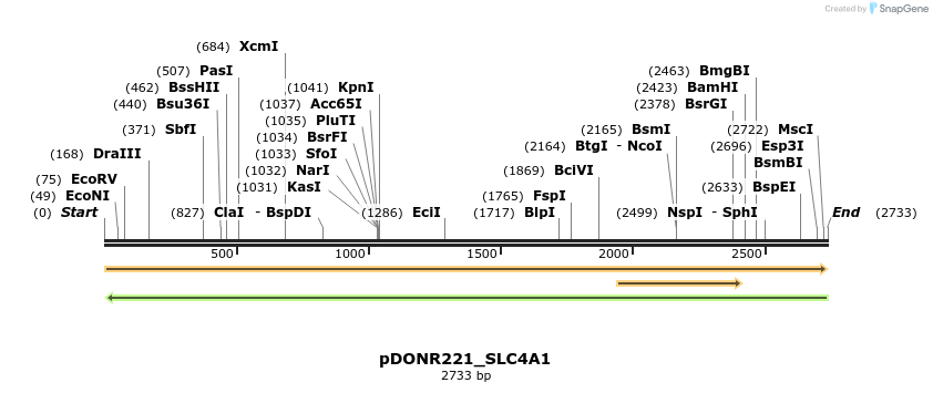 253760_map