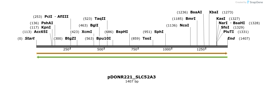 253762_map