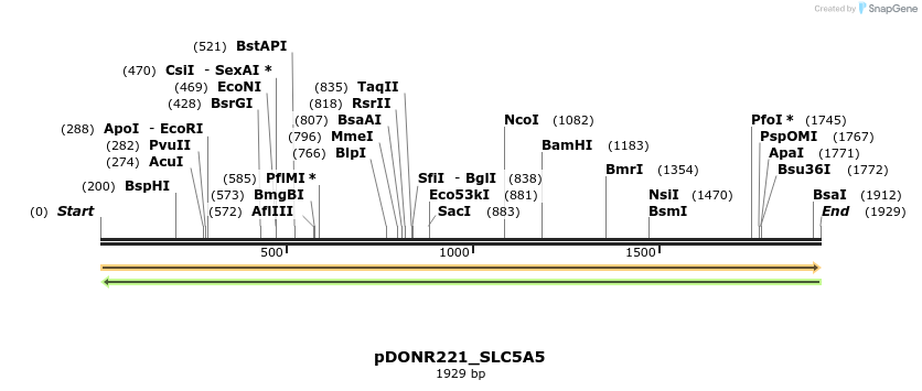 253764_map