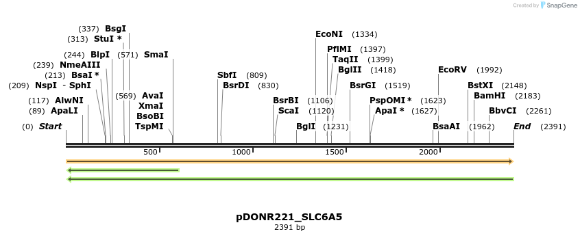 253768_map