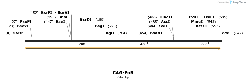 25377_map