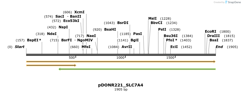 253770_map