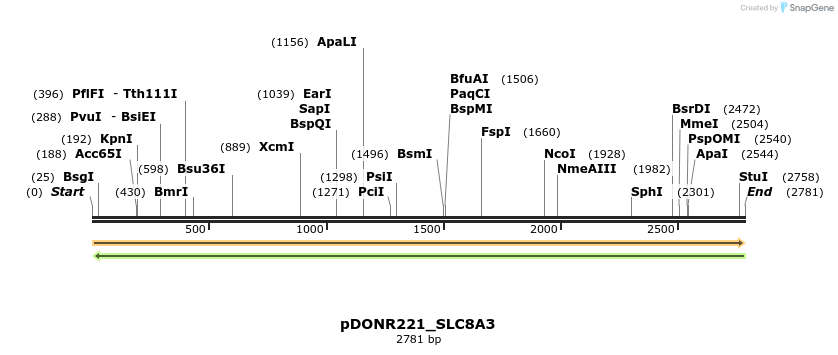 253772_map