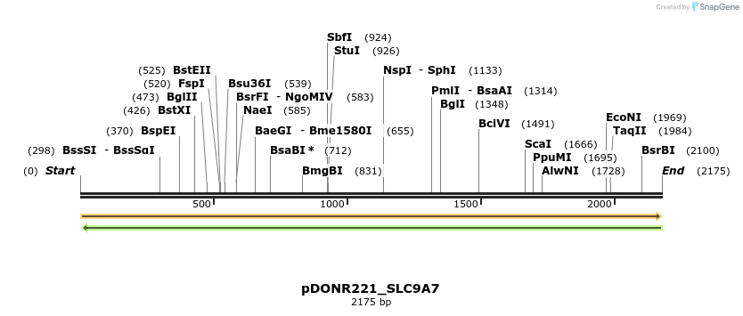 253774_map