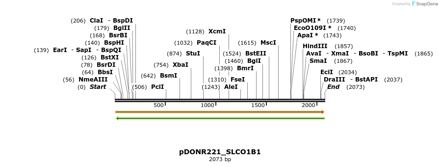 253776_map