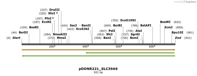 253778_map