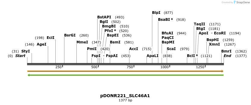 253782_map