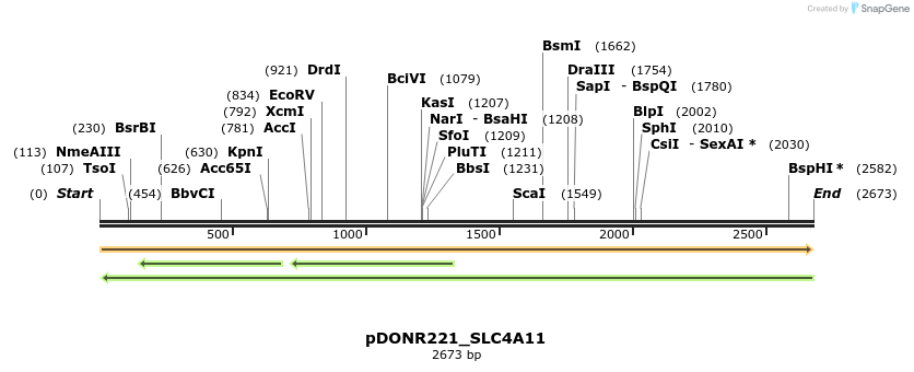 253784_map