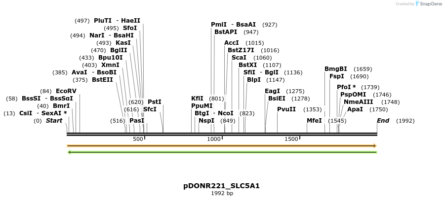253786_map