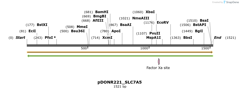 253794_map