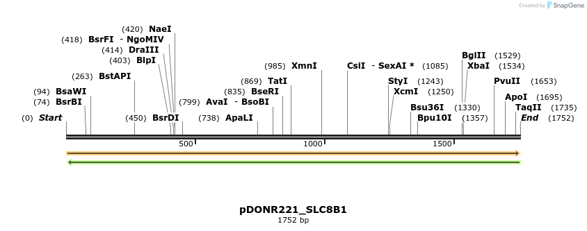 253796_map