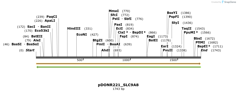 253798_map