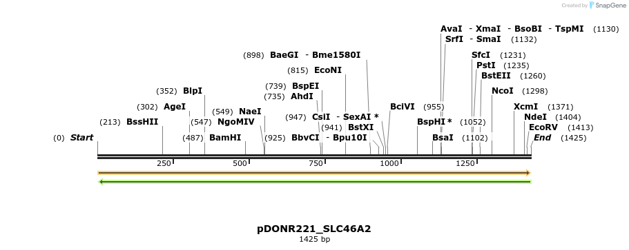 253806_map