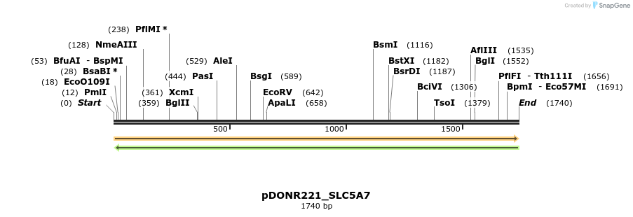 253812_map