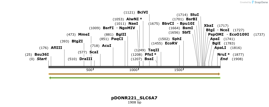 253816_map